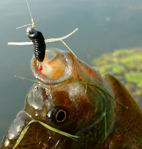 Brim Reaper Bluegill Fishing Lure 50 pack – Blue Ribbon Lures Sporting Goods